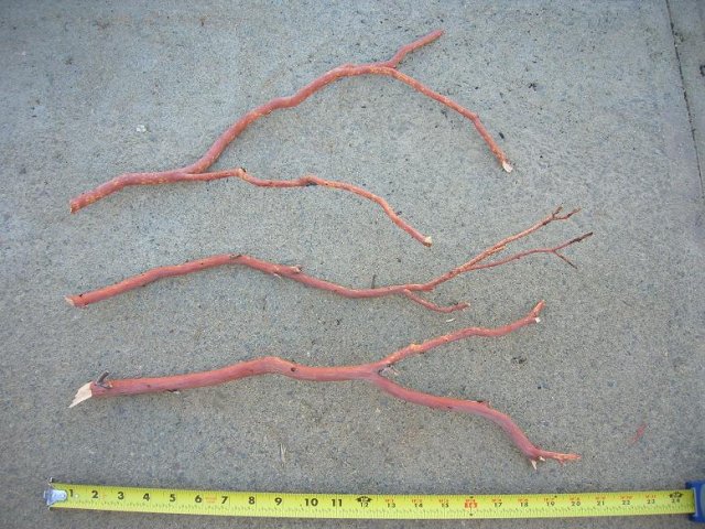 DSCN3257.JPG