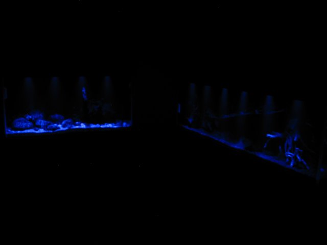103-0317_IMG.JPG