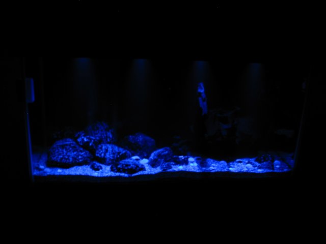 103-0309_IMG.JPG