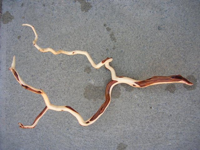 DSCN3269.JPG