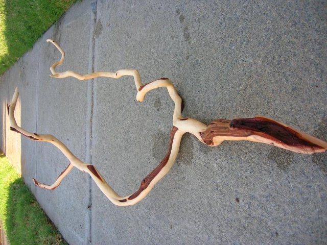 DSCN3270.JPG