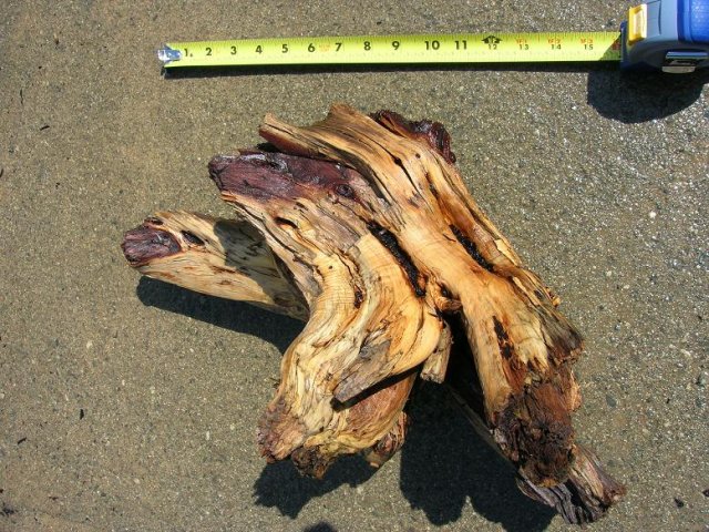 DSCN3251.JPG