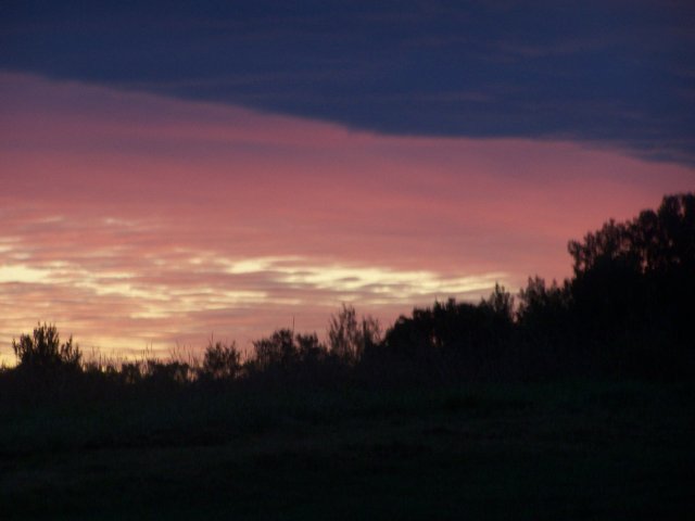 100_1579.JPG