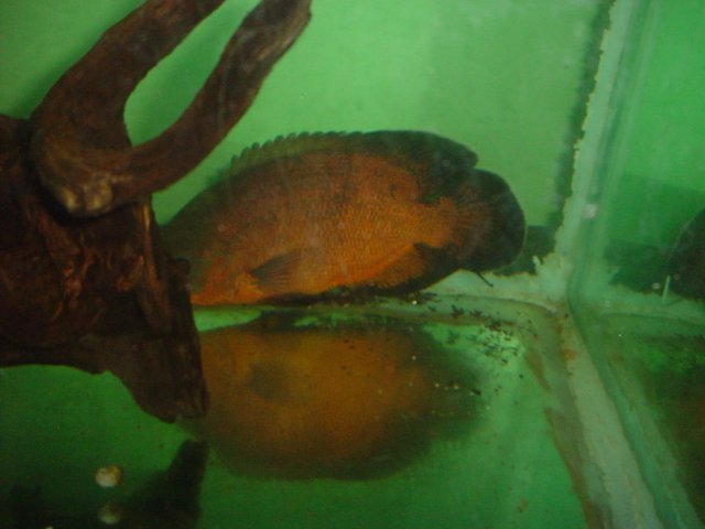 DSC00033.JPG