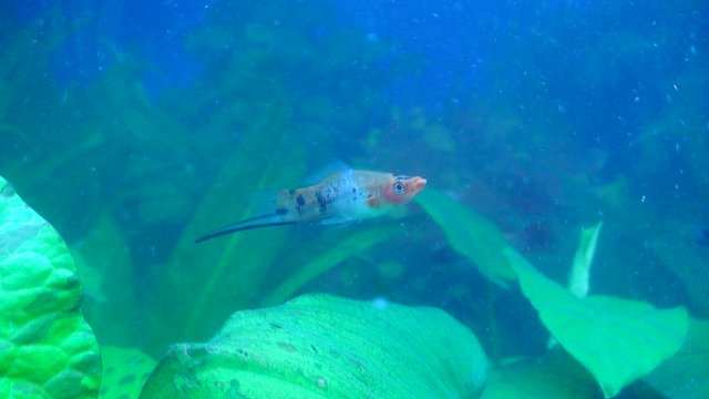 DSC00982.JPG