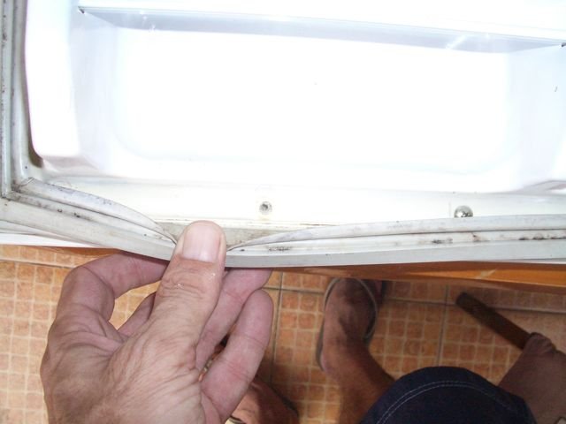 IMGP5473.jpg
