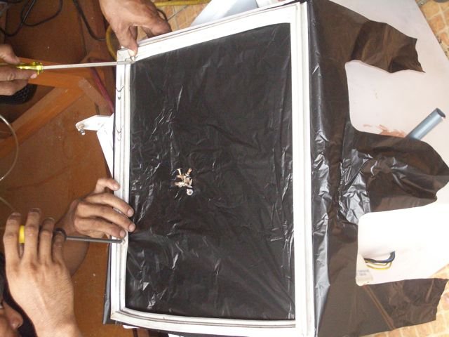 IMGP5485.jpg