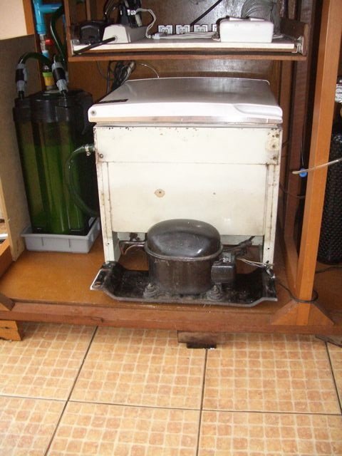 IMGP5488.jpg