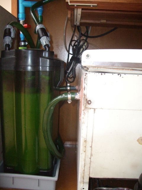 IMGP5489.jpg