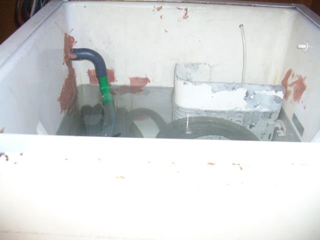 IMGP5490.jpg