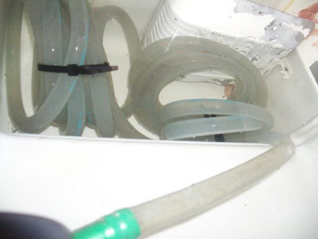 IMGP5491.jpg