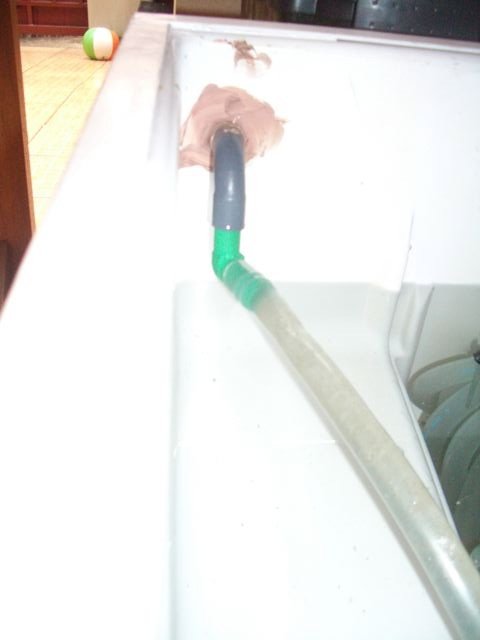IMGP5492.jpg