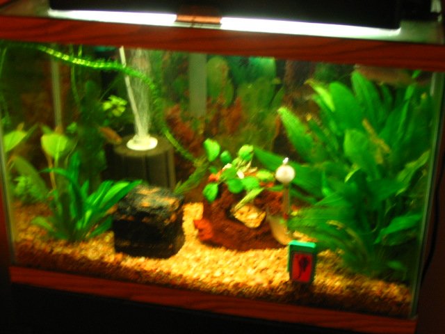 IMG_2031.JPG IMG_2031.JPG