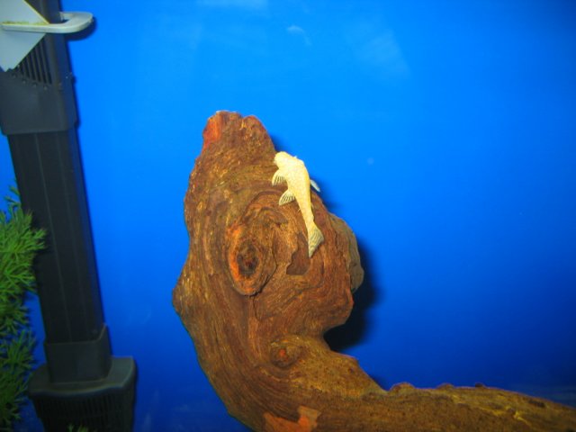 IMG_1051.jpg