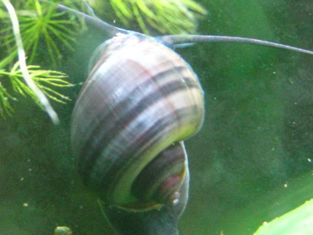 IMG_0616.JPG