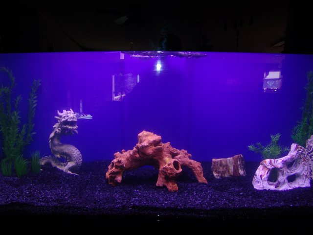 Picture 002.jpg