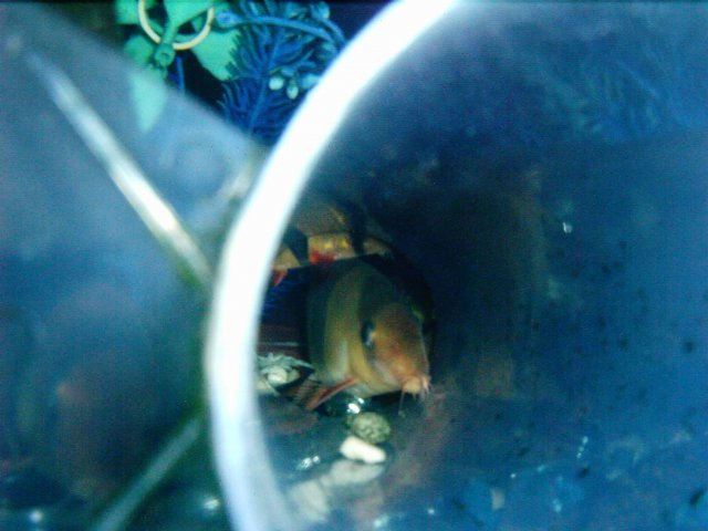 IMAG0014.JPG