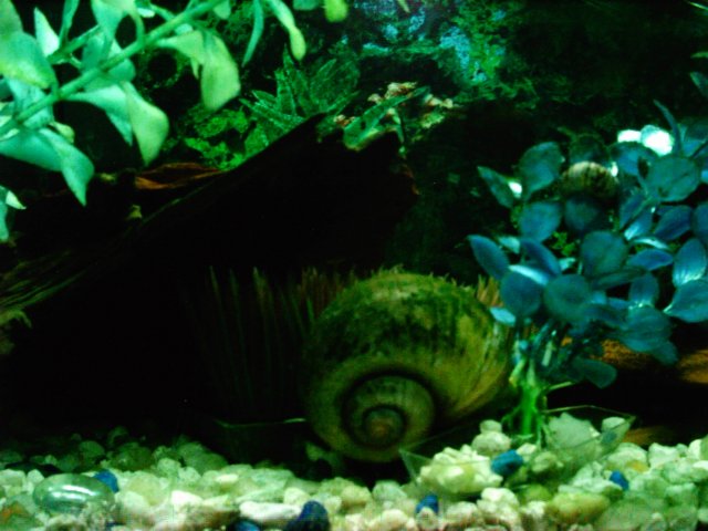 IMAG0028.JPG