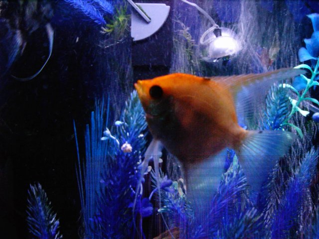 IMAG0031.JPG