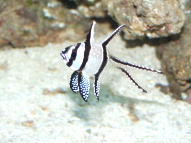 DSCF6549.JPG