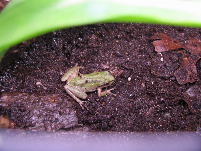 IMG_3659.jpg IMG_3659.jpg