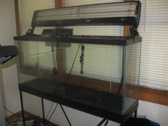 Picture 111.jpg