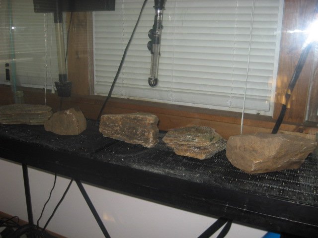 Picture 098.jpg