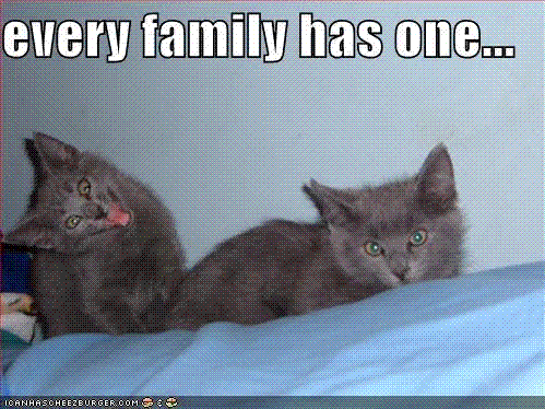 every family has one.GIF