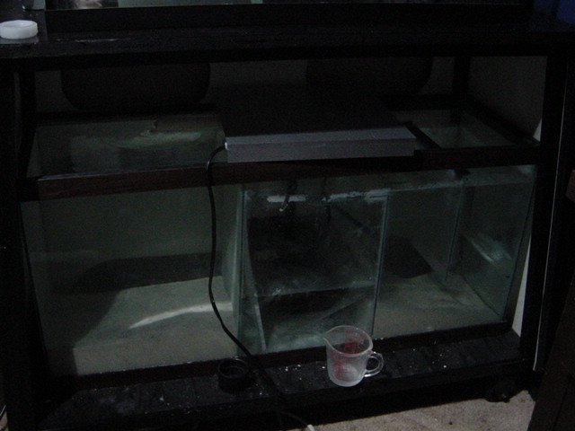 DSC03818.JPG