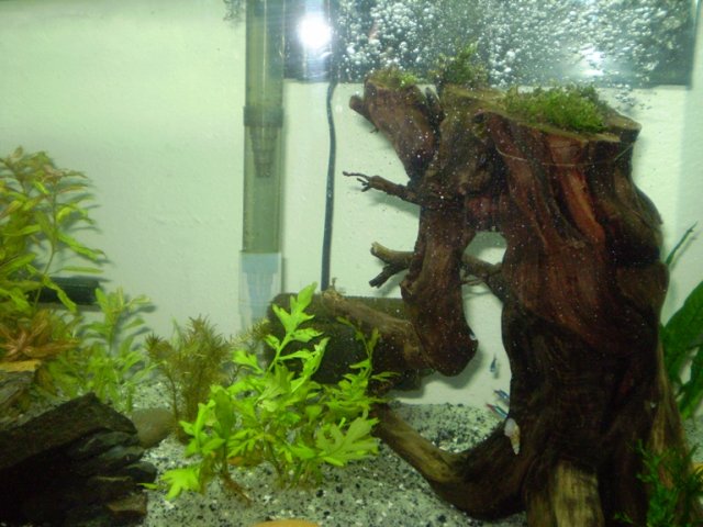 P9100005.JPG