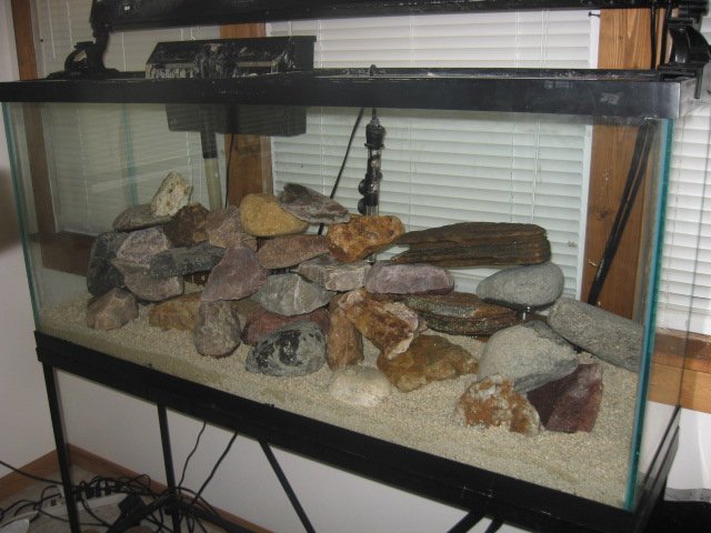 Picture 100.jpg