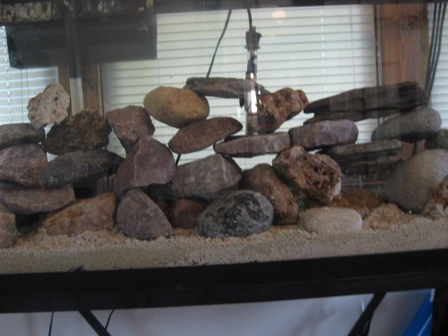 Picture 103.jpg