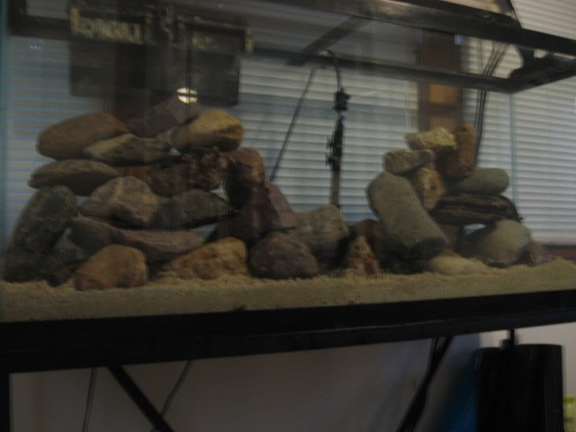 Picture 109.jpg
