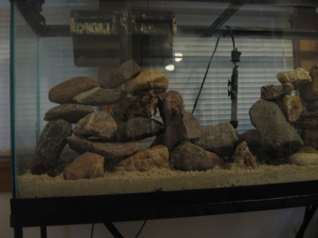 Picture 107.jpg
