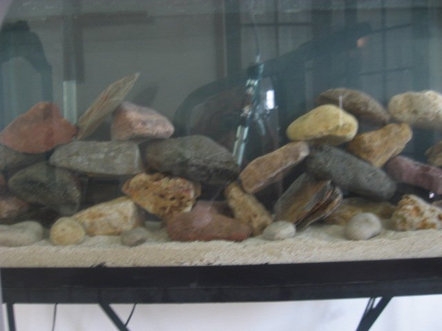 Picture 119.jpg