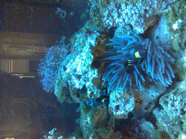 Image006.jpg