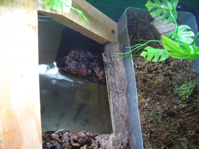 mice 170.jpg