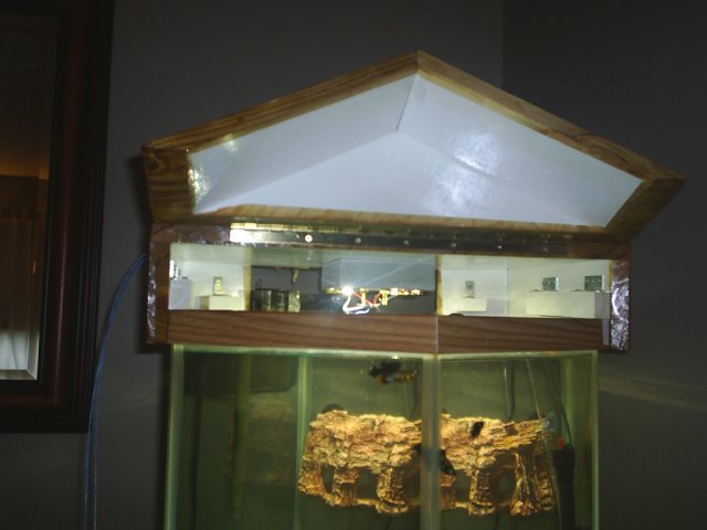 S3010172.JPG