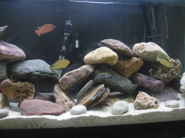 Picture 034.jpg