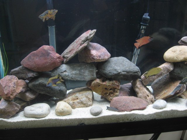 Picture 035.jpg