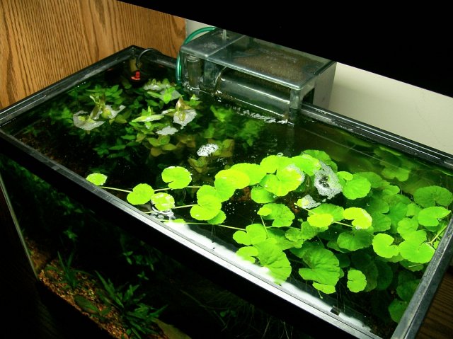 100_3855.jpg 100_3855.jpg