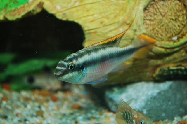 DSC_0541.JPG DSC_0541.JPG