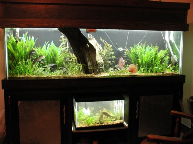 P9250080.JPG