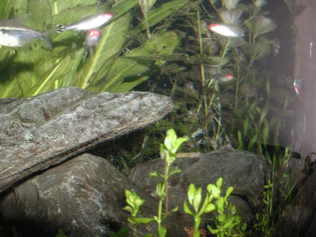 P9250093.JPG