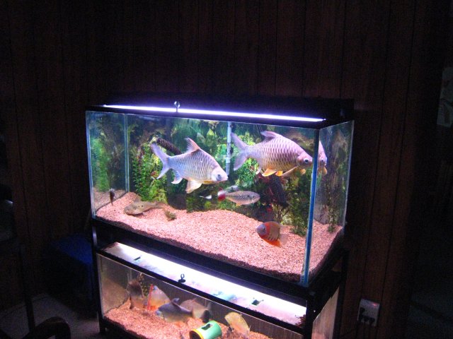 IMG_2037_1.JPG