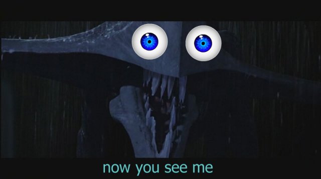 untitledpitch-1.jpg