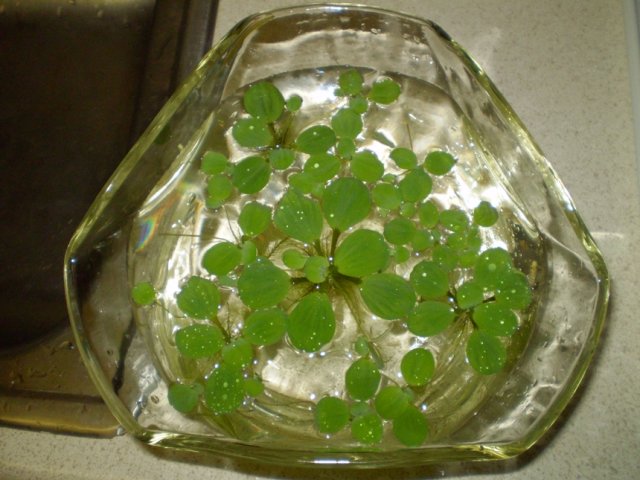 004.JPG 004.JPG