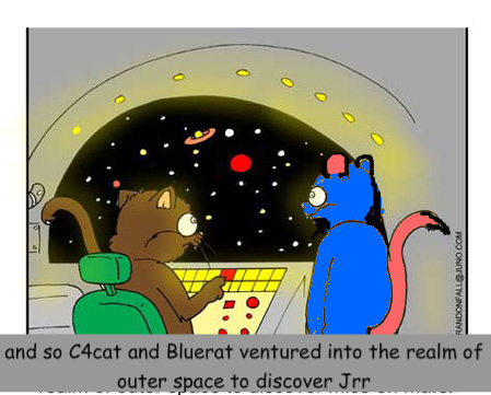 catsinspace-1.jpg
