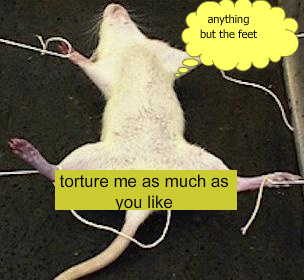 rat-1-1.jpg