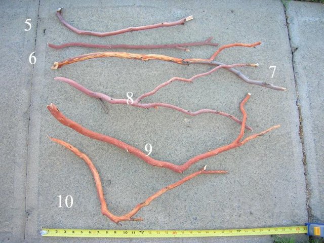 DSCN3258.JPG
